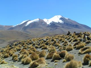 Czasem trzeba cierpliwości, często wrażliwości i odpowiedniej wiedzy, żeby ten „klucz” znaleźć.