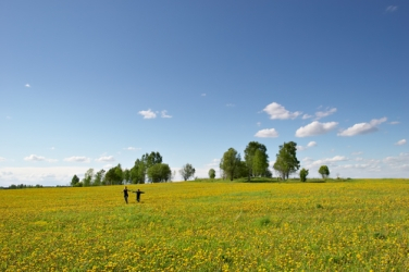 fot. shutterstock