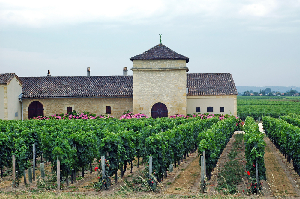 szampania