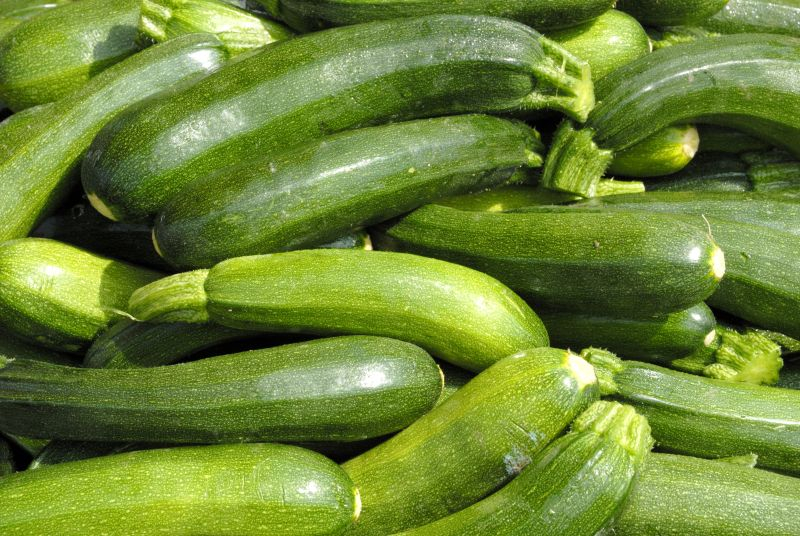Cukinia Fot. Fotolia