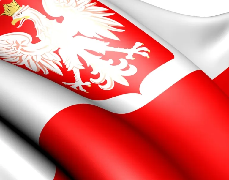 Flaga i godło a prawa autorskie. / Fot. Fotolia