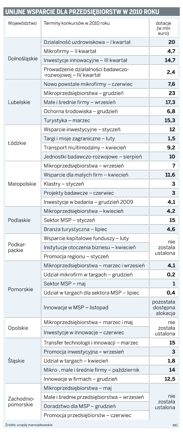 Unijne wsparcie dla przedsiębiorstw w 2010 roku