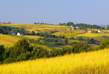 © Paweł Burgiel - Fotolia.com