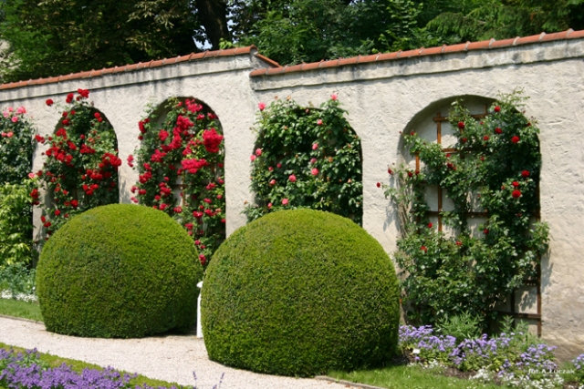 Projektowanie ogrodów, utrzymanie terenów zielonych – reklama