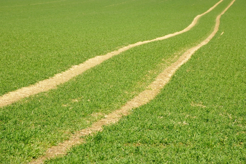 Dotacje na modernizację gospodarstw rolnych 