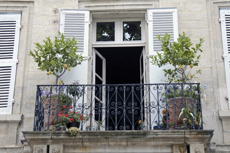 Balnon. Fot. Fotolia