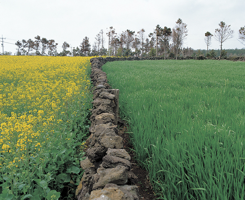 Zwrot podatku akcyzowego rolnikom 2013  
