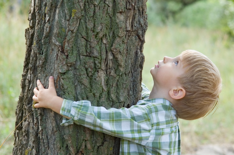 Sposób mierzenia pnia drzewa w protokole pokontrolnym/ Fot. Fotolia