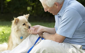 Wydłużenie wieku emerytalnego