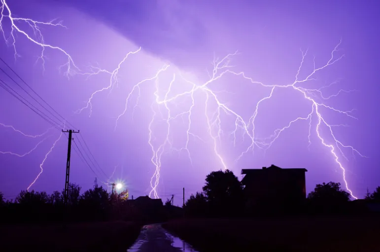 Zwolnienie z podatku dla osób, które porządkowały lasy po nawałnicach /Fot. Fotolia