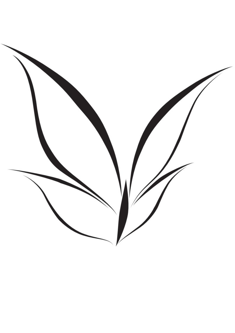 motyl, szablony malarskie, fot. Fotolia