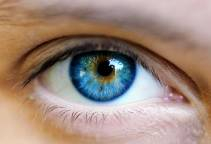 Jak działają programy wspierające kampanię marketingową