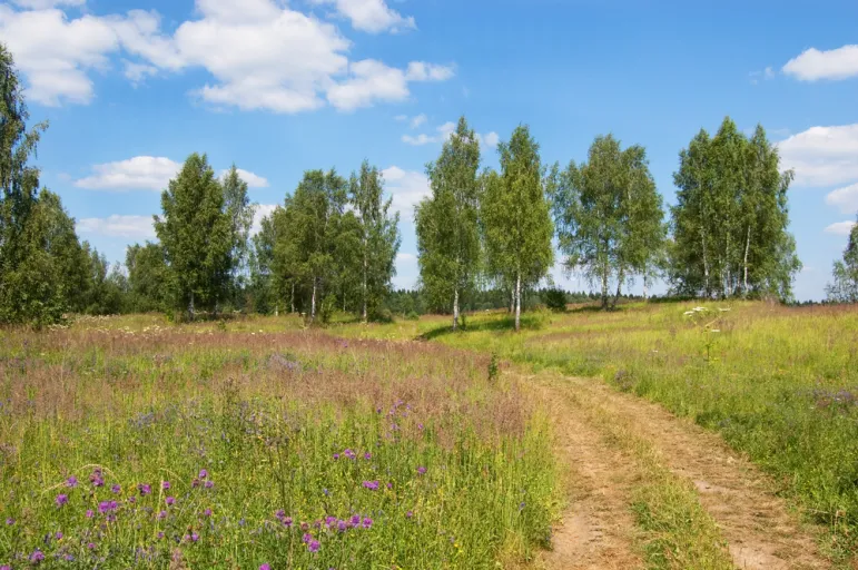 Kupno działki. Fot. Shutterstock