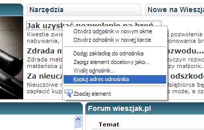 Niestety sprawa linków nie była jeszcze przedmiotem żadnego orzeczenia sądowego.