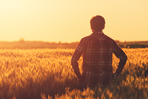  Składki KRUS - ubezpieczenie wypadkowe, chorobowe i macierzyńskie w IV kwartale 2019 r. / fot. Shutterstock