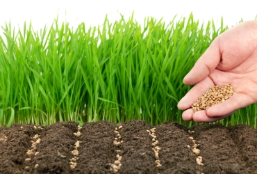 © lily - Fotolia.com