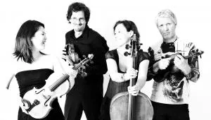 Radio. String. Quartet. Vienna zagra na Starówce