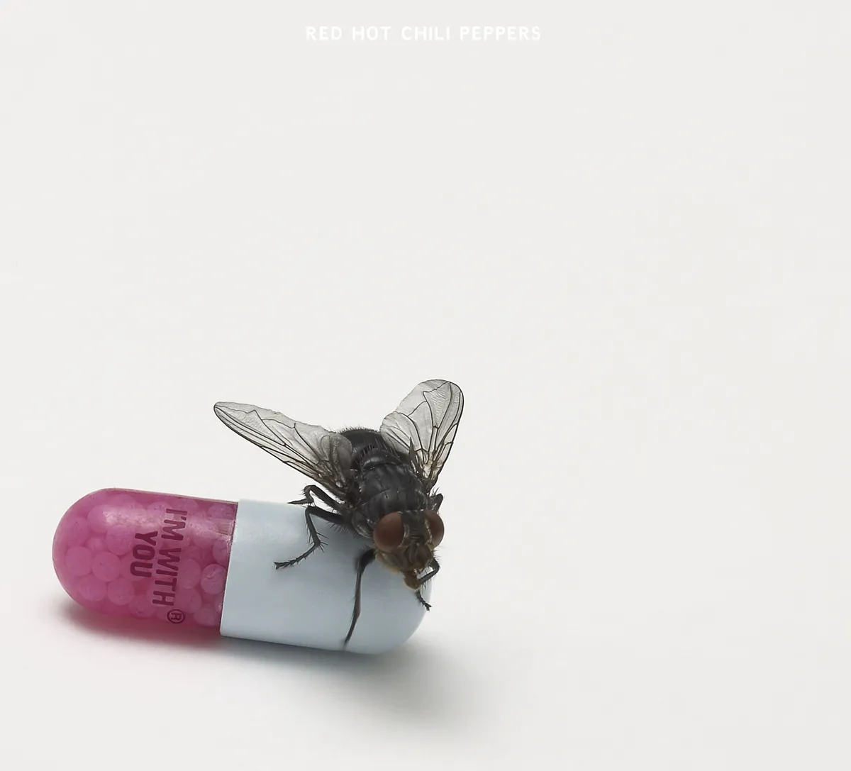 "I'm With You" - recenzja