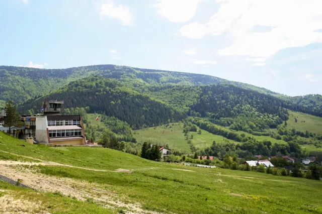 Żywiec zabiega o sprowadzenie prochów Habsburgów do miasta