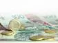 Polski złoty traci przez Grecję