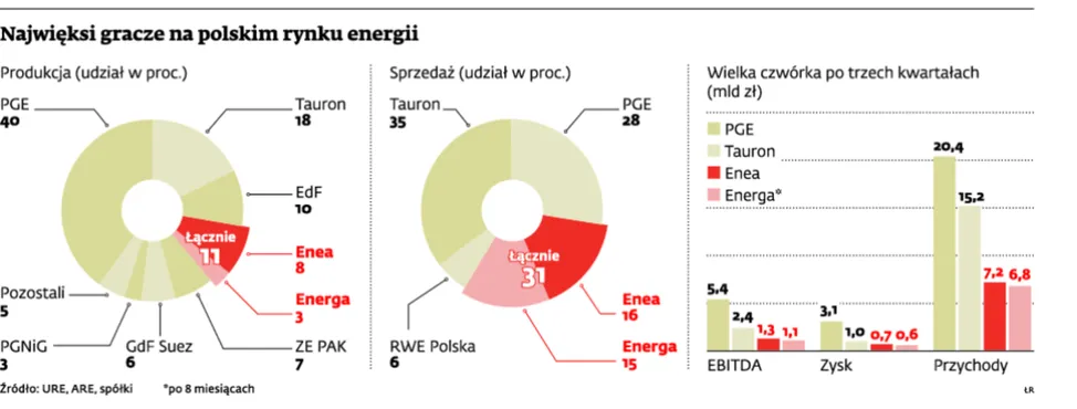 Najwięksi gracze na polskim rynku energii
