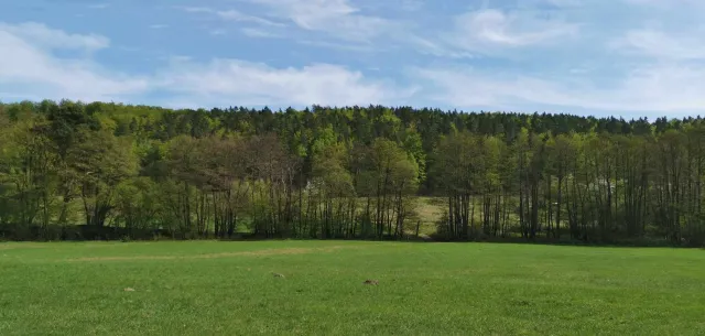 Lasy Państwowe chcą uczcić swoje 100-lecie. Zapowiadają powstanie 100 rezerwatów przyrody