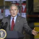 Bush: nie zatraciłem się dla popularności