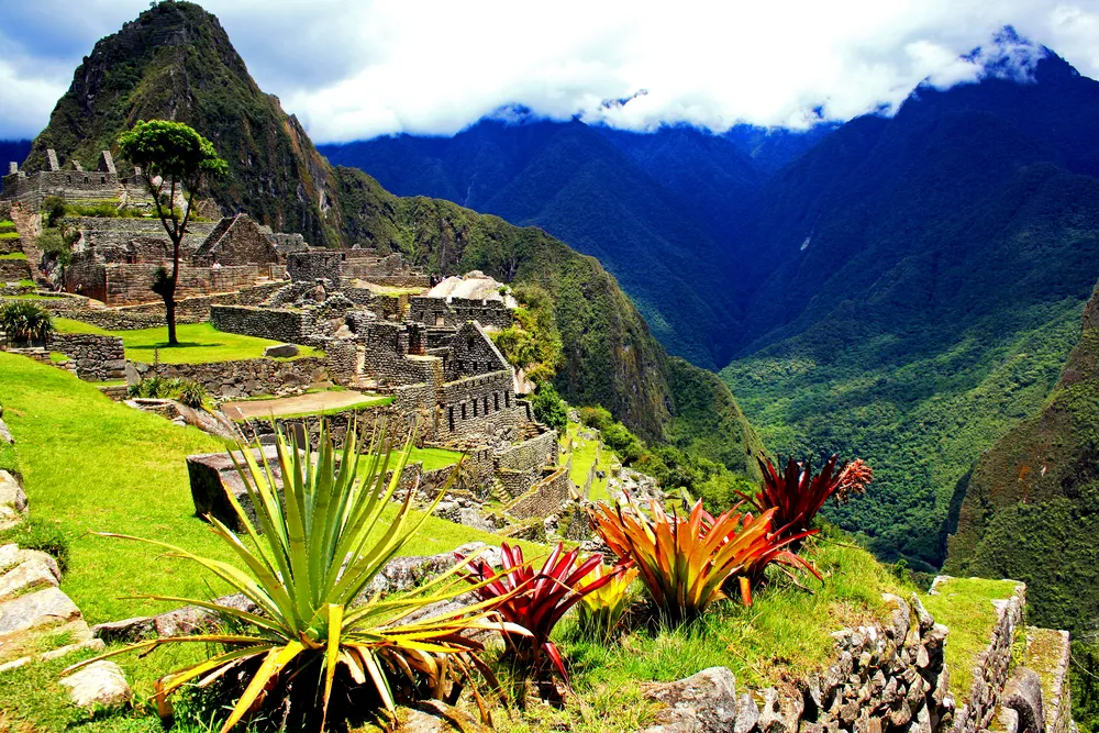 Machu Picchu