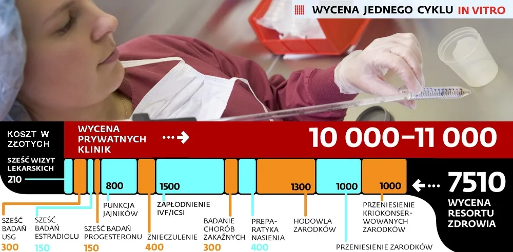 In vitro dla każdego, ale rząd przeliczył się z kosztami zabiegu. Kliniki chcą o wiele więcej
