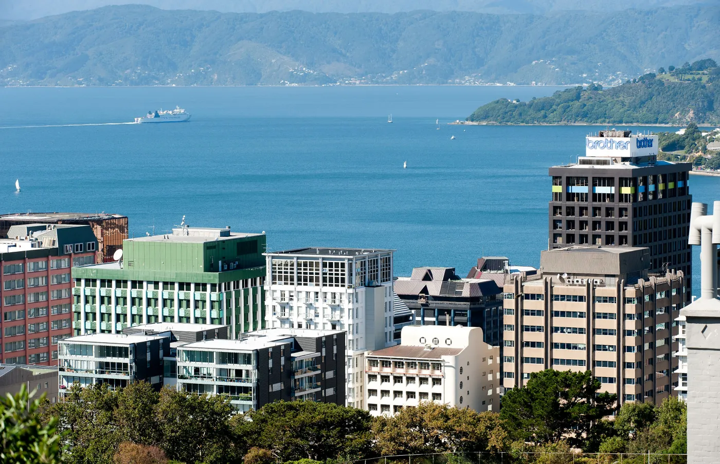 805209-nz.jpg
