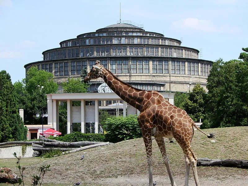 862422-zoo.jpg
