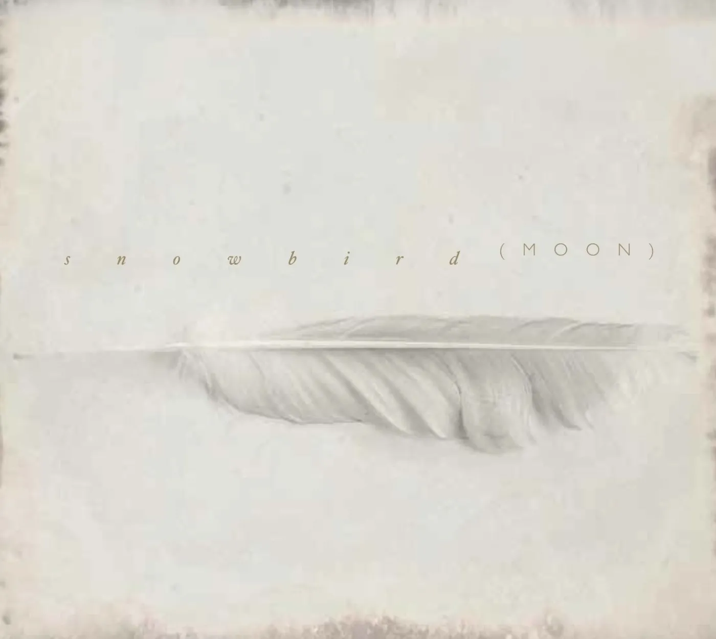 Snowbird "Moon" - recenzja