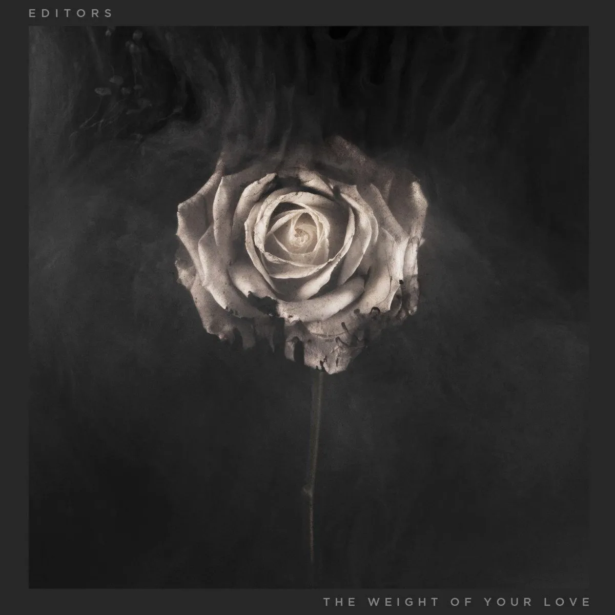 Editors "The Weight of Your Love" - recenzja