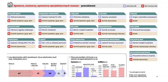 Magister umarł. Czas na zawodówki