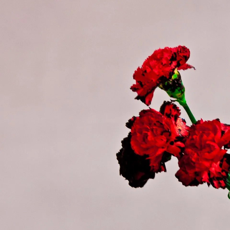 John Legend "Love In The Future" - recenzja