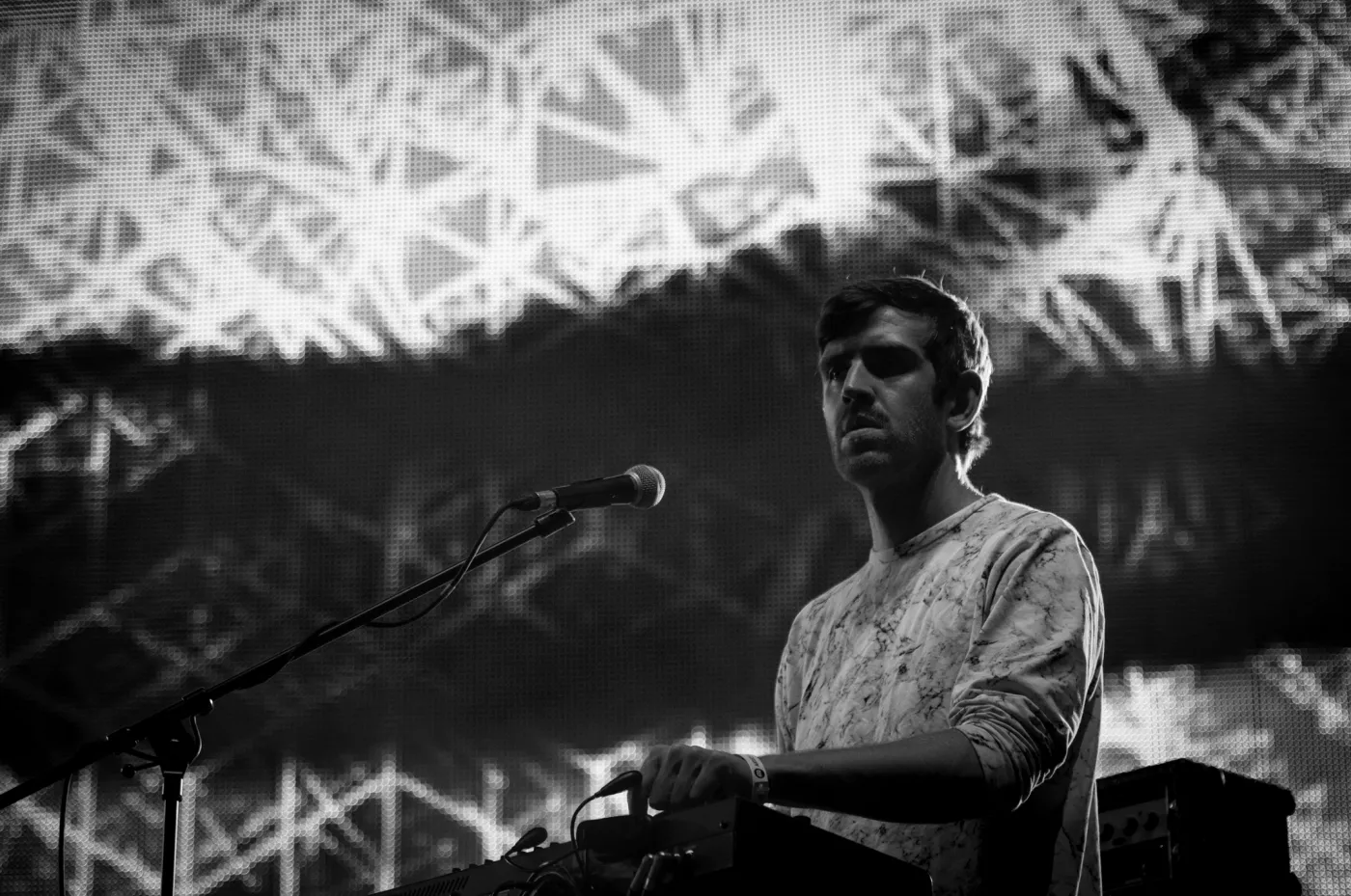 Little Dragon
