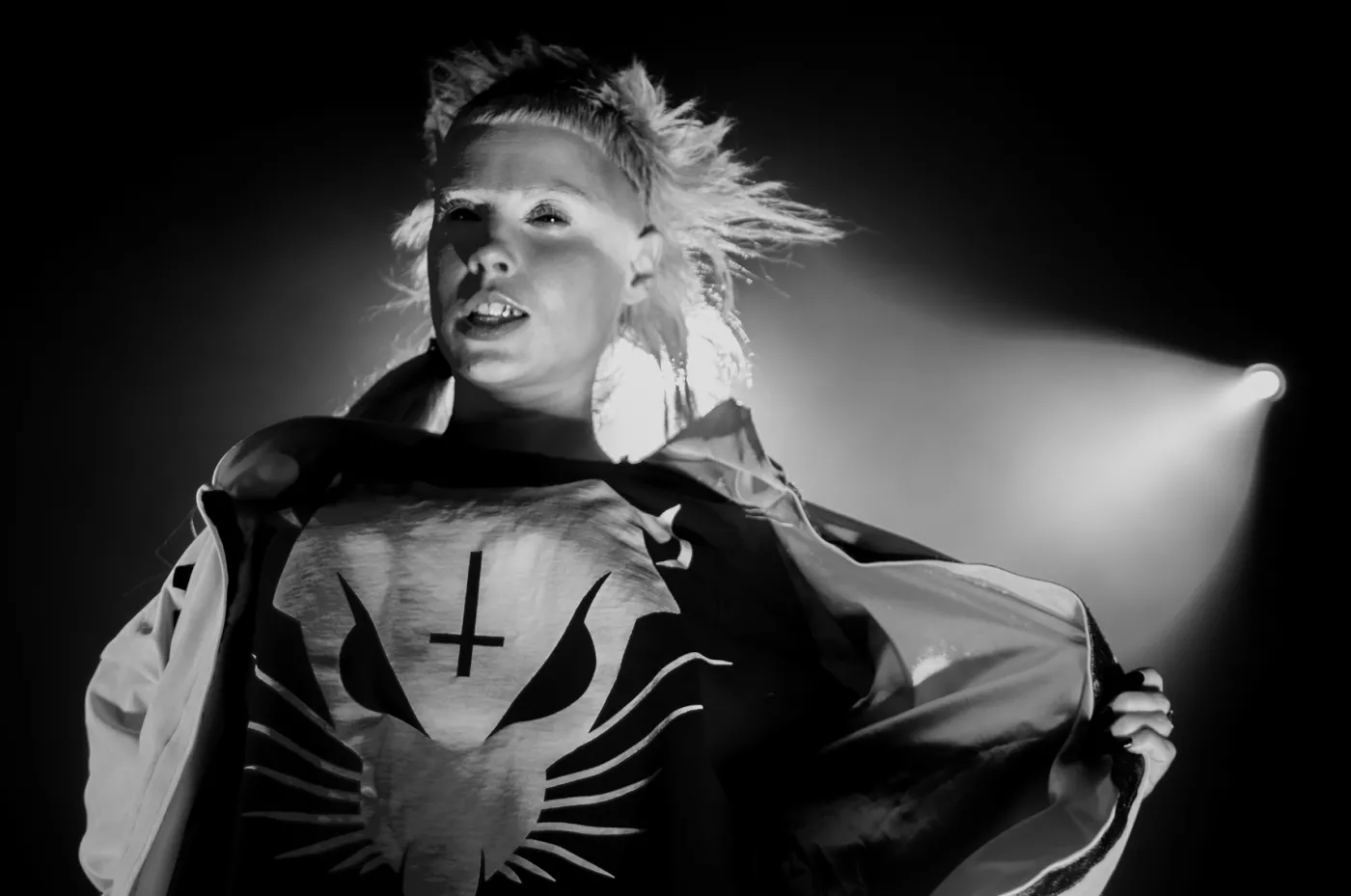 Die Antwoord