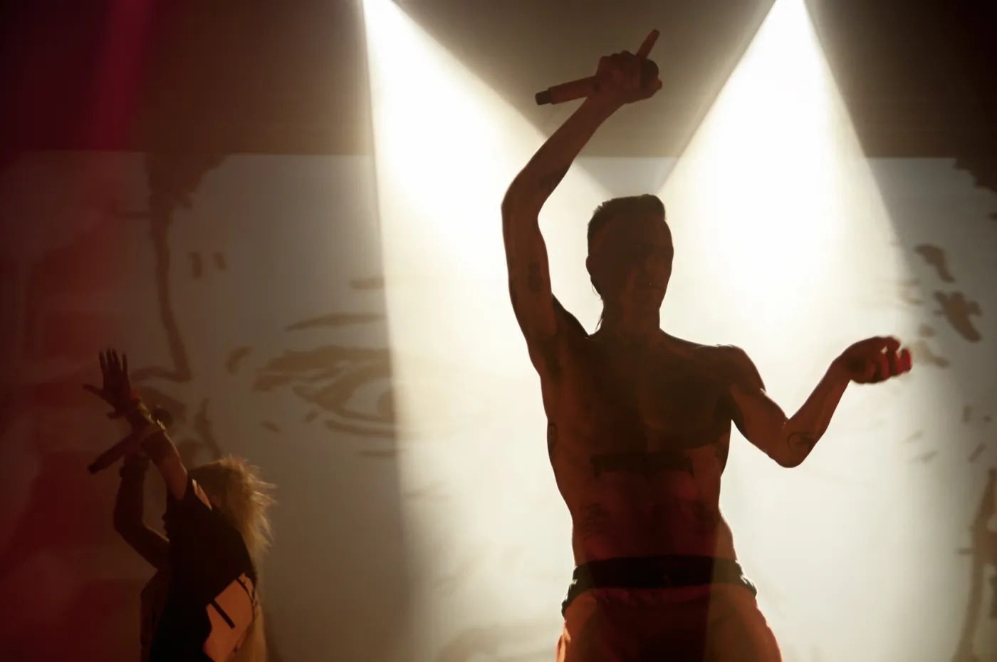 Die Antwoord