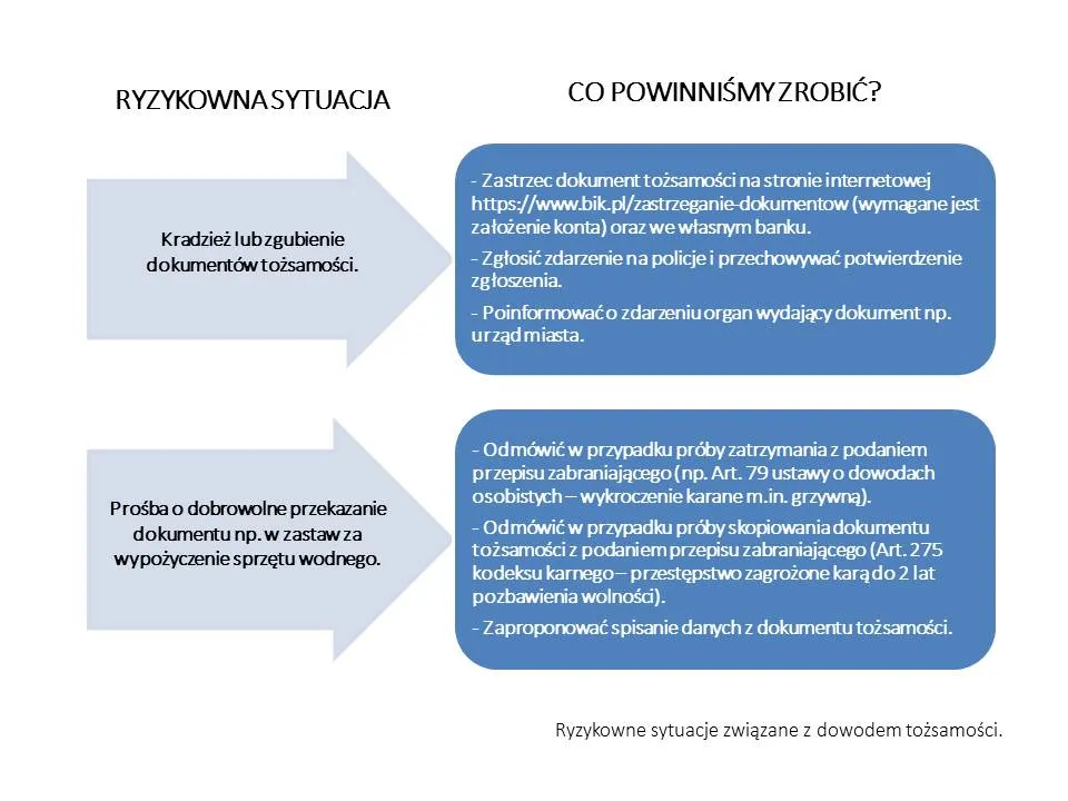 2602116-rys.jpg
