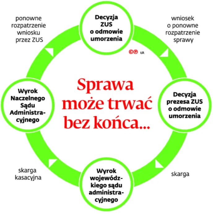 2624410-.jpg