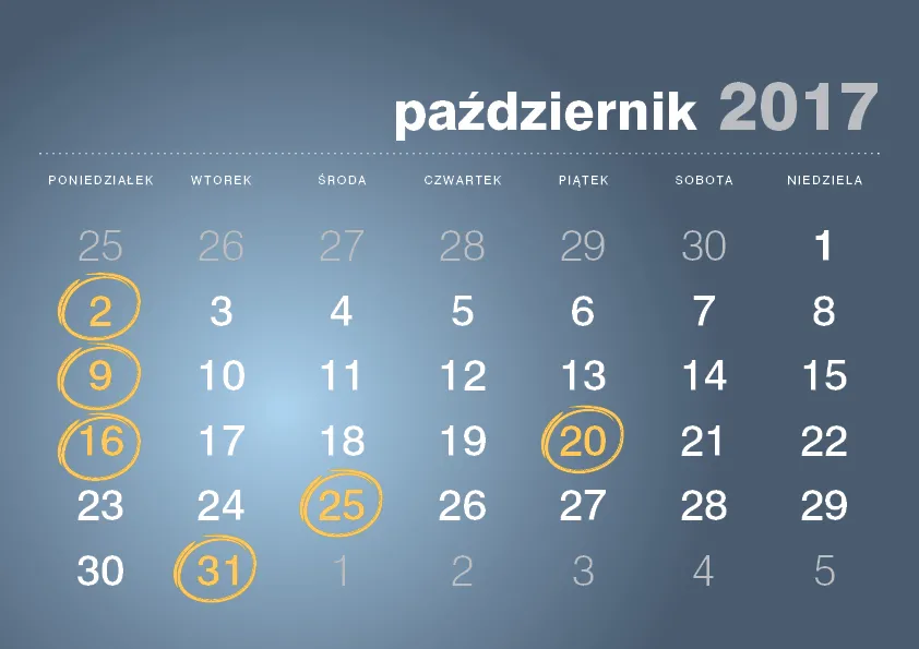2781124-.jpg