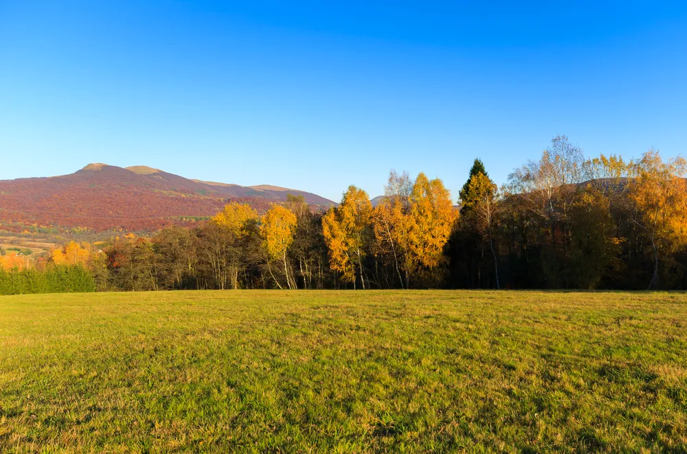 Solina, Wetlina, a może Tarnica? Bieszczady na weekend
