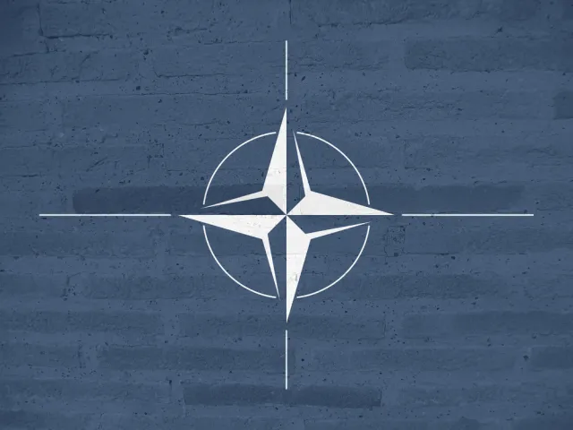 Friendly fire na szczycie NATO