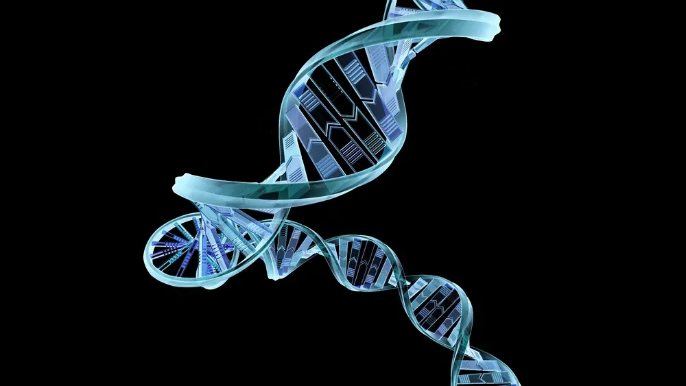 Centrum Badań DNA: Naukową wiedzę o DNA przekuli w biznes
