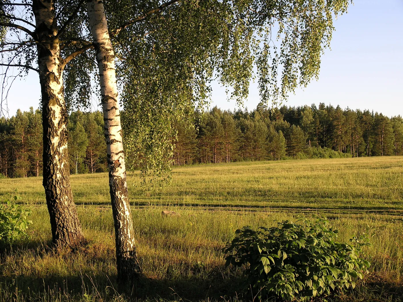 Atrakcyjne grunty inwestycyjne będą teraz łatwiej dostępne