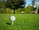 Pola golfowe i boiska piłkarskie nakręcają koniunkturę na rynku trawy sportowej