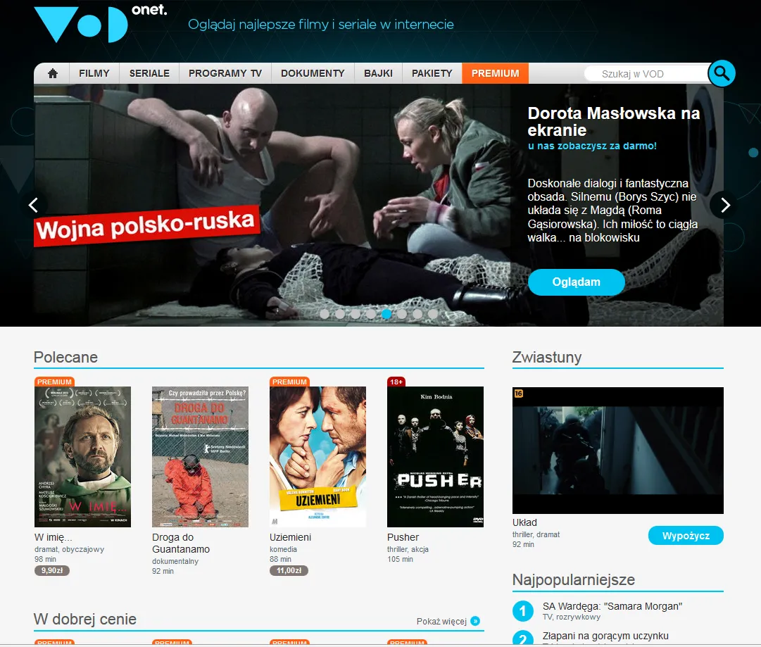 Nałogowe oglądanie wideo. 80 proc. internautów w Polsce korzysta z VOD