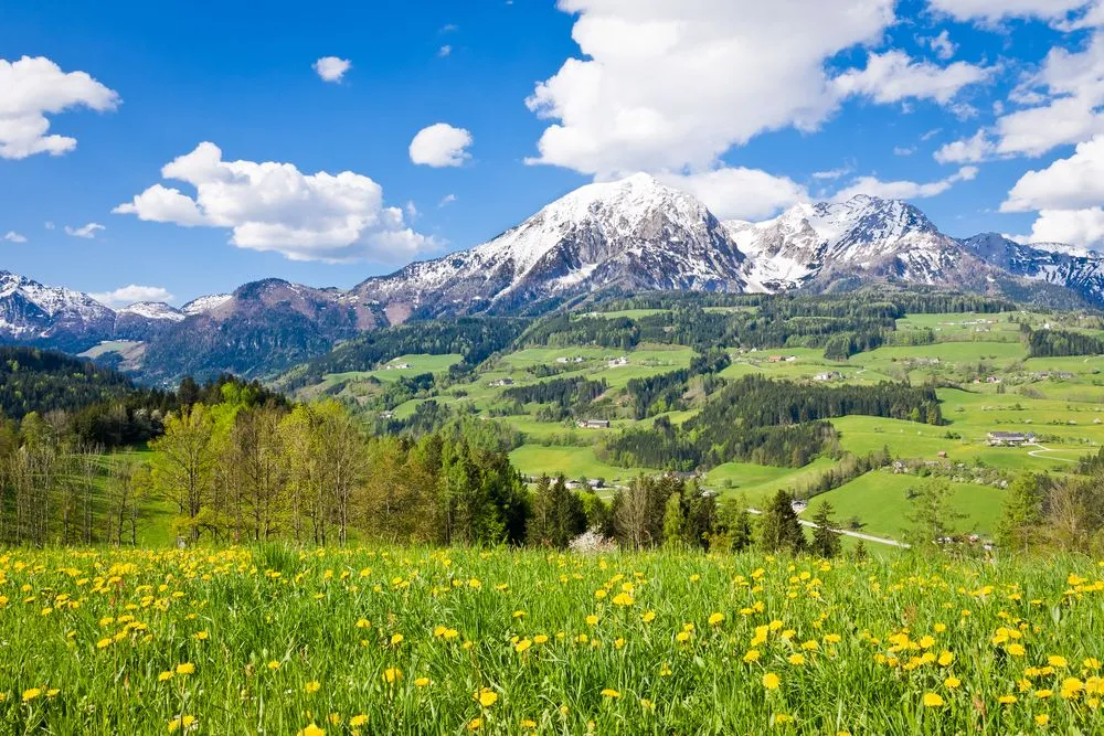 Austriacy zdecydują czy chcą powszechną służbę wojskową