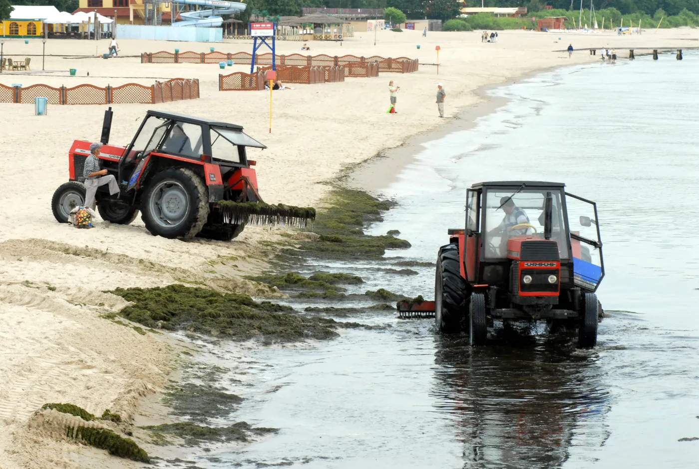 Dzika plaża zamienia się w kurort