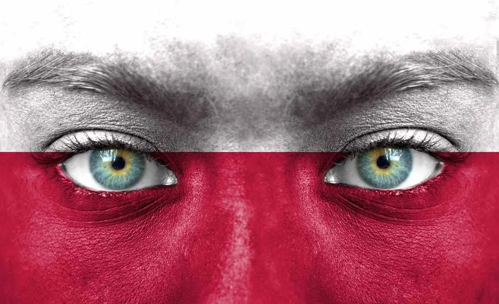 Lokalne polowania na ONR. Jak samorządy walczą z narodowcami